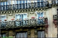 PARI PARIS 01 - NR.0121